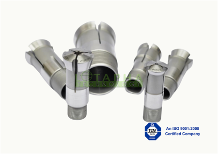 GÁ KẸP DẪN HƯỚNG